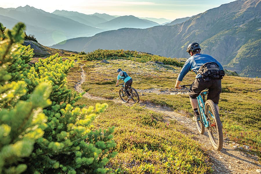 Multi-functional Handheld Thermal Binocular Multi-functional Handheld Thermal Binocular