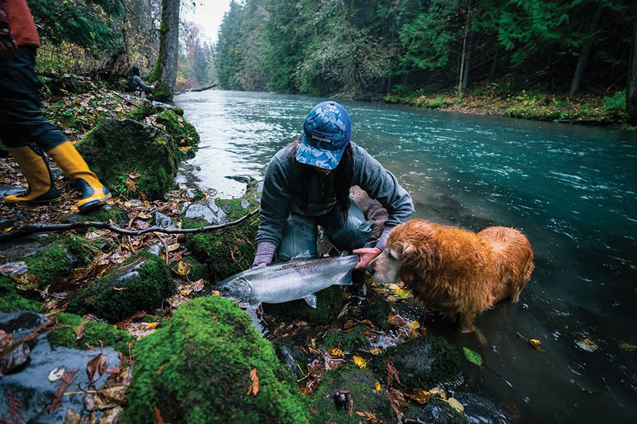 Fishing Lodges