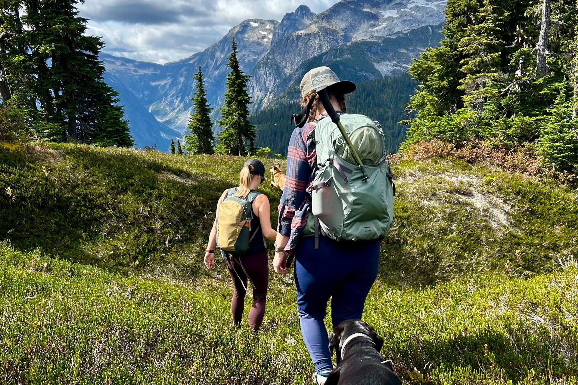 Hiking in Terrace