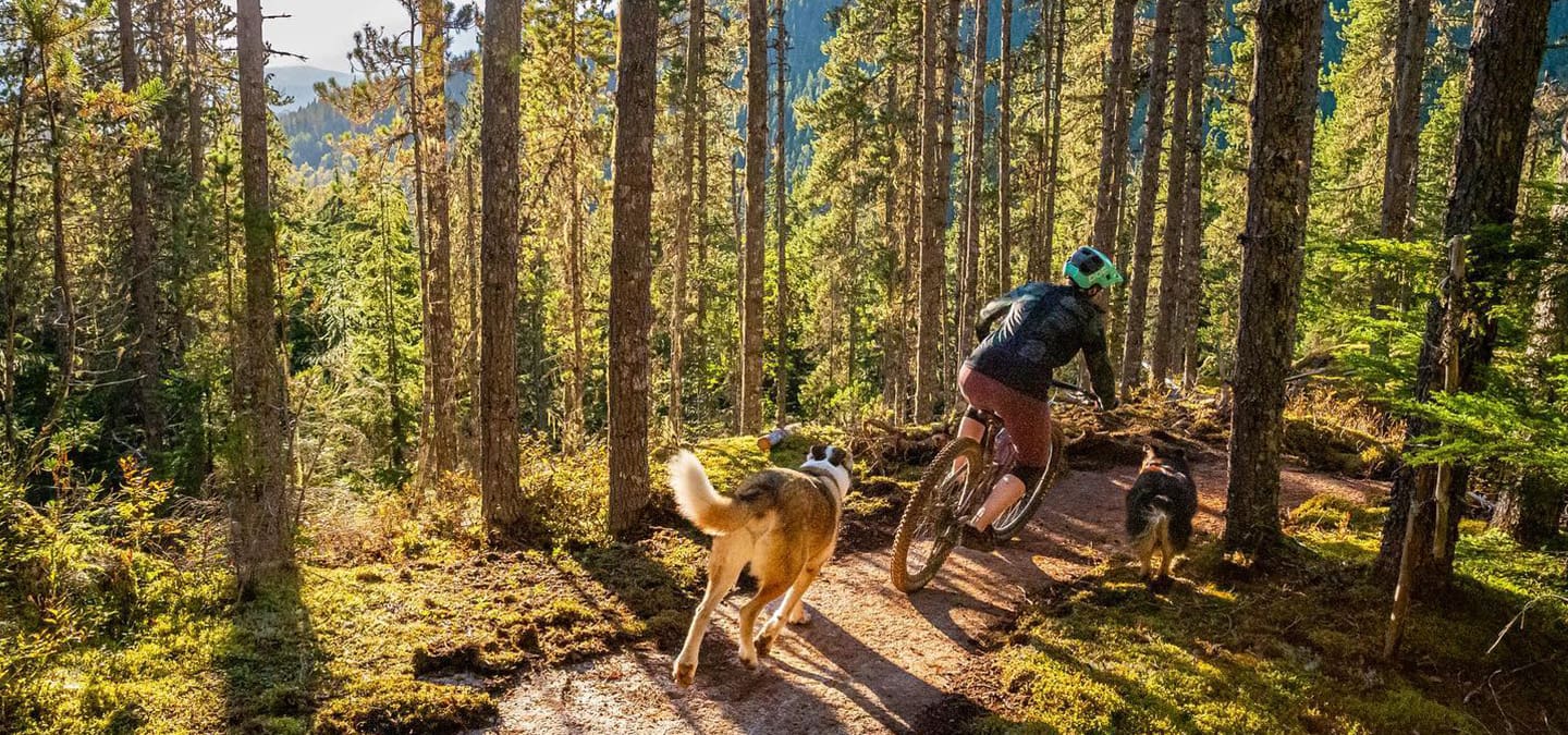 Welcome to Terradise Banner