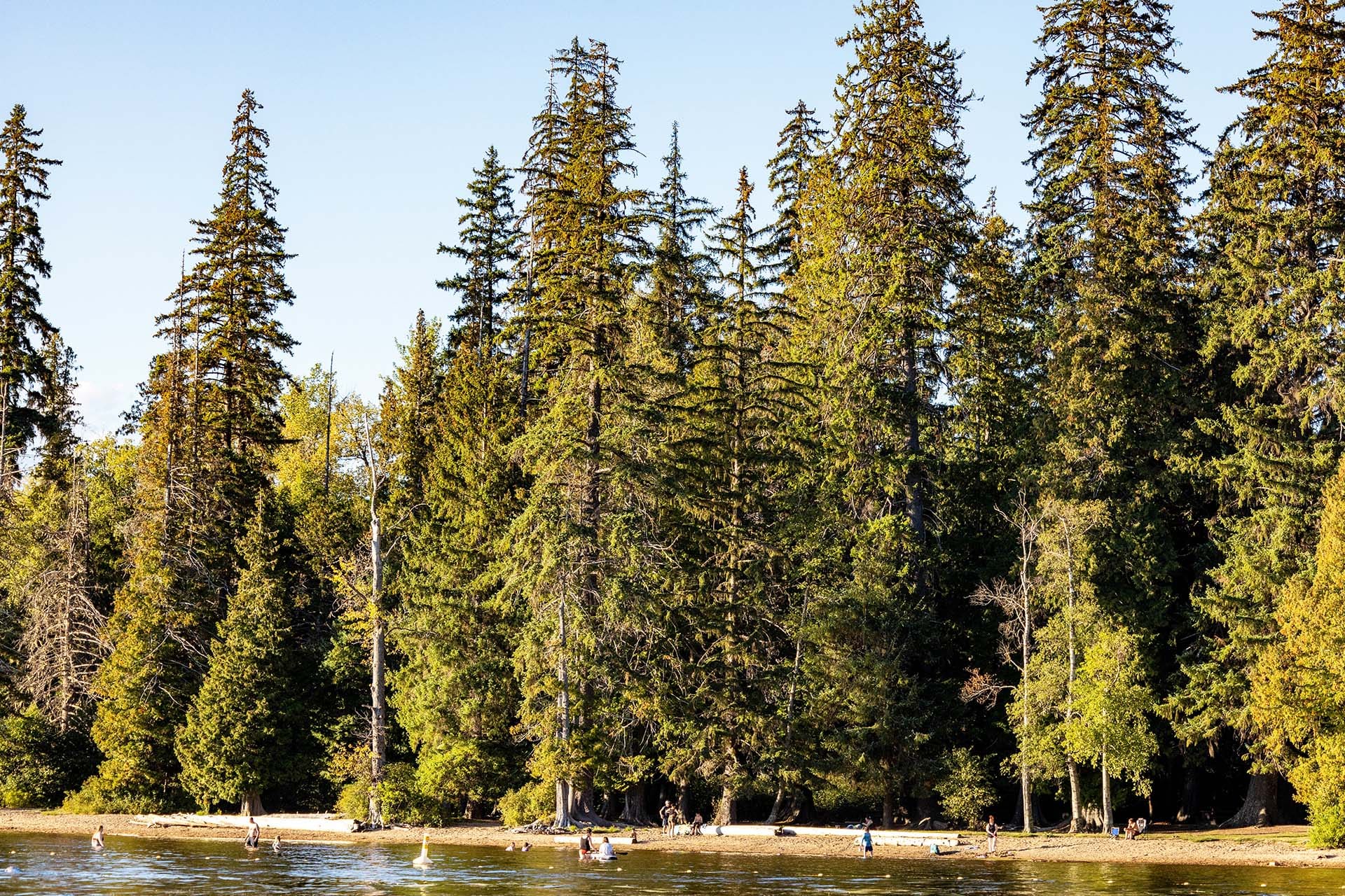 Picnic Site beach at Lakelse Lake 1920x1280