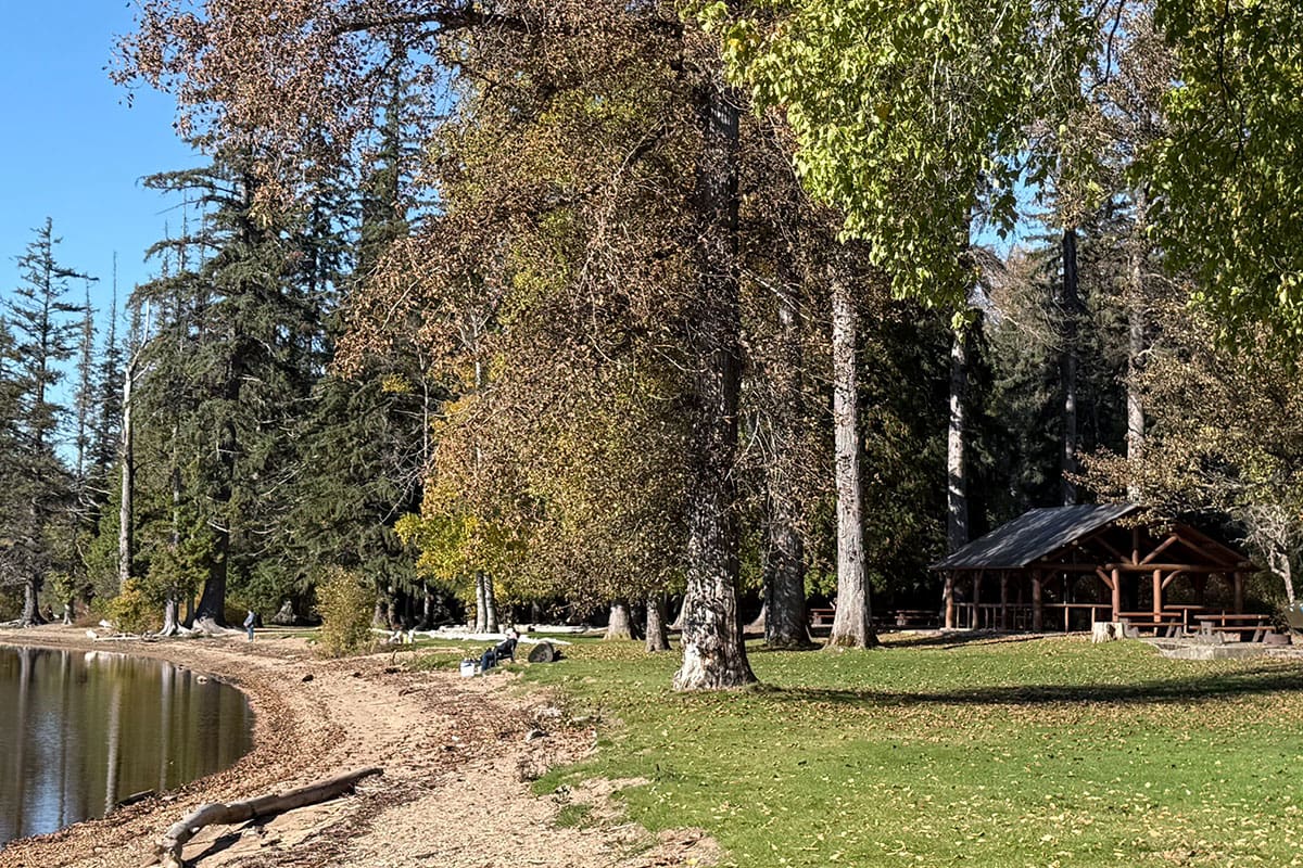 Picnic Site gazebo at Lakelse Lake