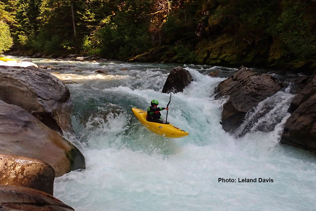 Nick Gottlieb Whitewater Kayaking at Williams Creek